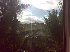 Una foto de Flickr